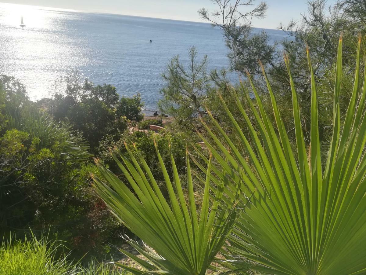 Апартаменти Cabo Roig Bellavista III Екстер'єр фото